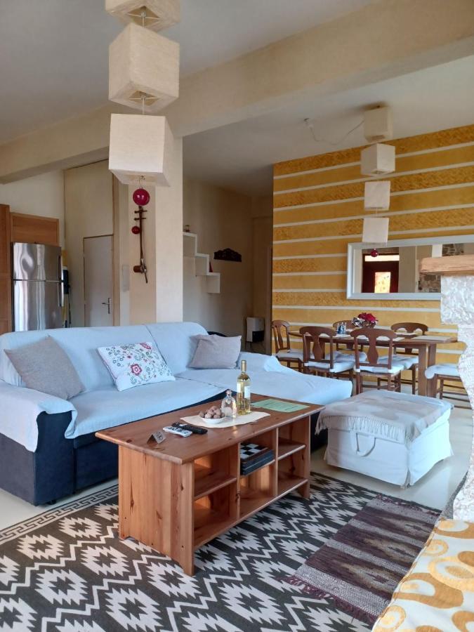 Nick Apartment